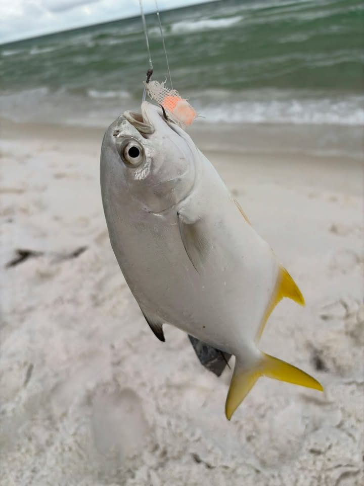 Customer catch