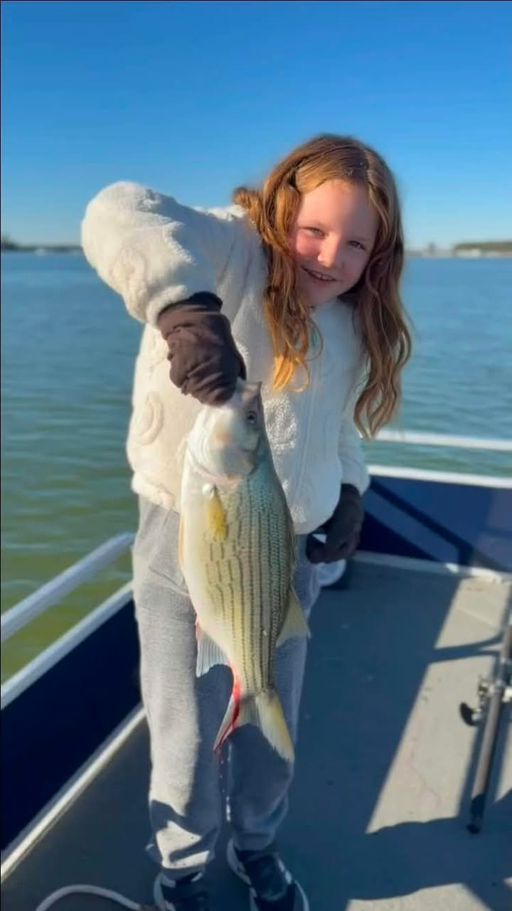Striped Bass