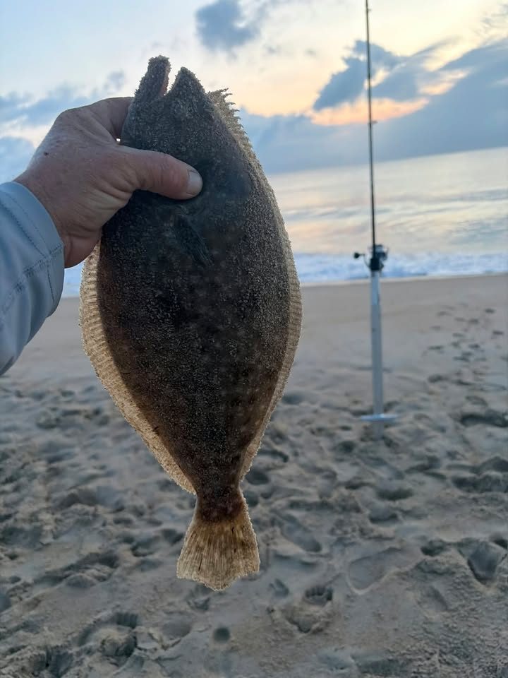 Pensacola Flounder